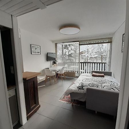 Studio Quartier Calme Centre Ville Vue Mont Blanc Σαμονί Εξωτερικό φωτογραφία