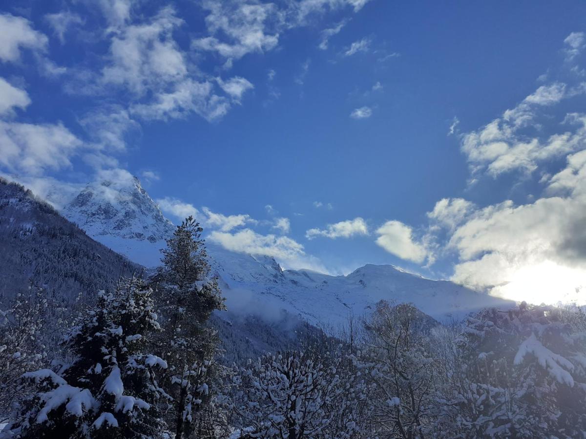 Studio Quartier Calme Centre Ville Vue Mont Blanc Σαμονί Εξωτερικό φωτογραφία