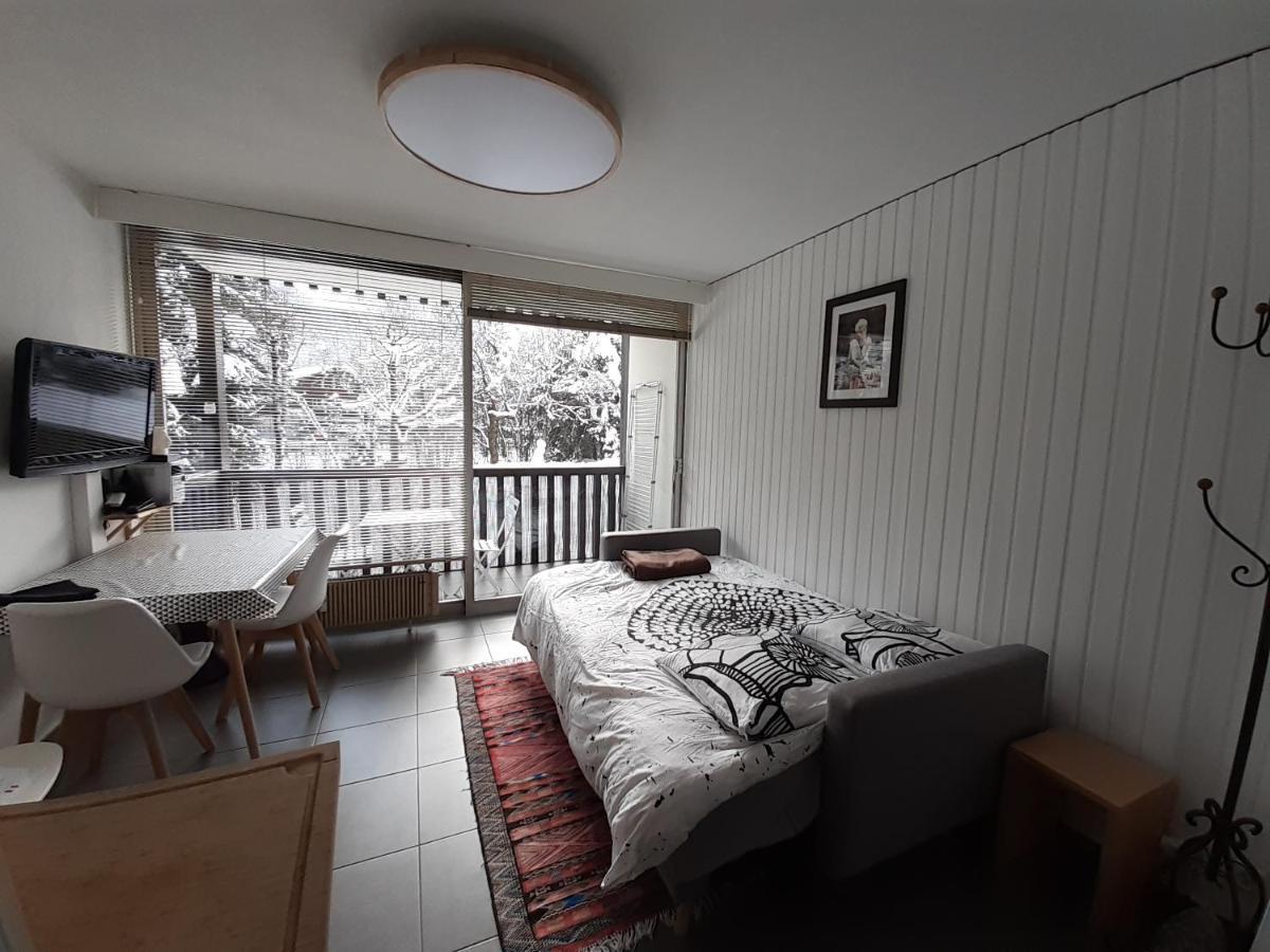 Studio Quartier Calme Centre Ville Vue Mont Blanc Σαμονί Εξωτερικό φωτογραφία