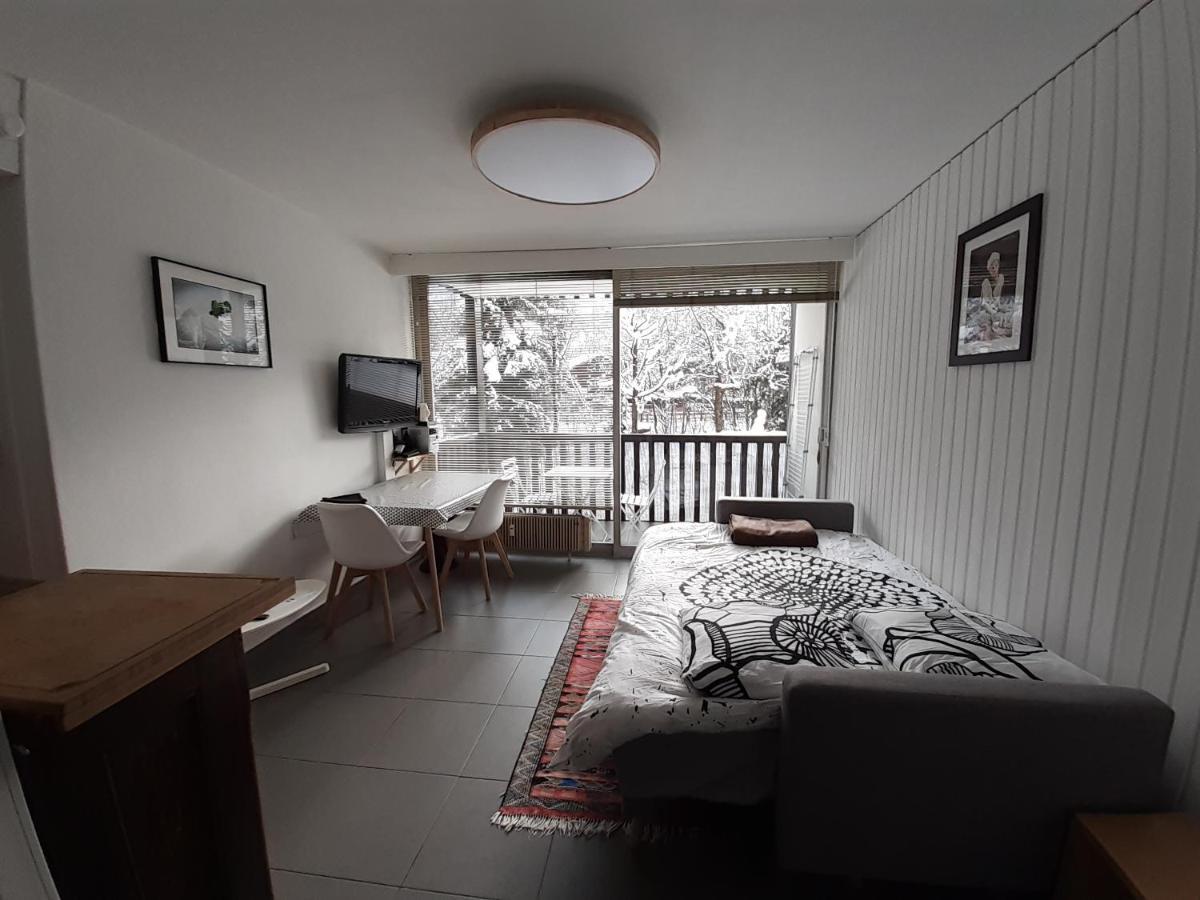 Studio Quartier Calme Centre Ville Vue Mont Blanc Σαμονί Εξωτερικό φωτογραφία