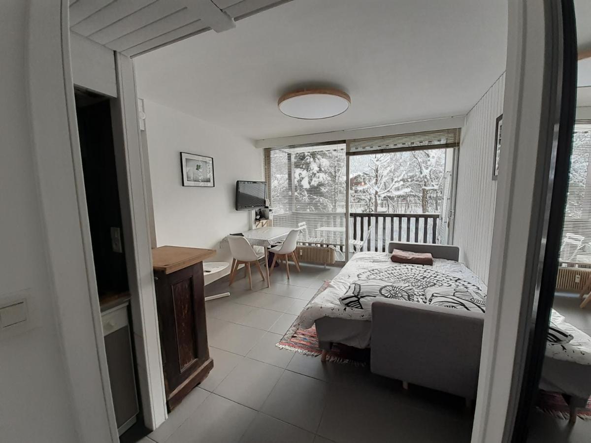 Studio Quartier Calme Centre Ville Vue Mont Blanc Σαμονί Εξωτερικό φωτογραφία